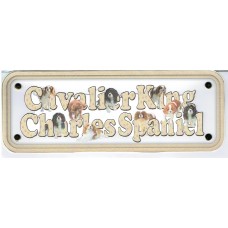 Cavalier King Charles Spaniel